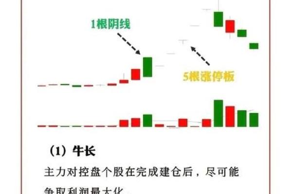 主力试盘后多久拉升