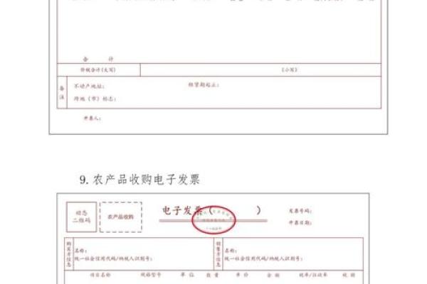 个人电子发票怎么开