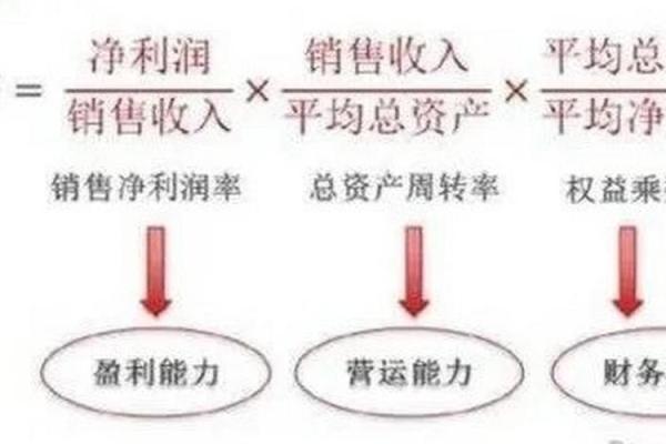 roe是什么意思 净利率