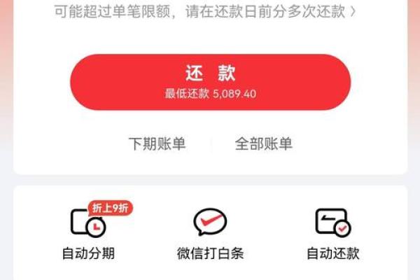 白条付款是什么意思