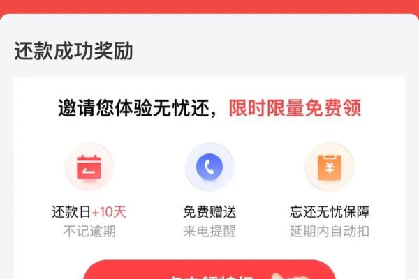 白条付款是什么意思