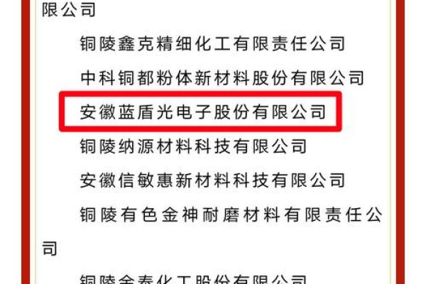 中国蓝盾是什么公司