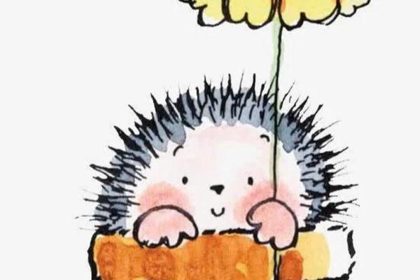 刺猬法则是什么意思