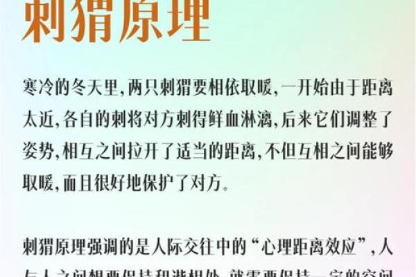 刺猬法则是什么意思