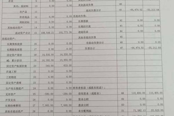 短期借款额度