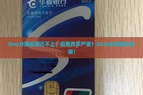 dou分期可以提前还吗