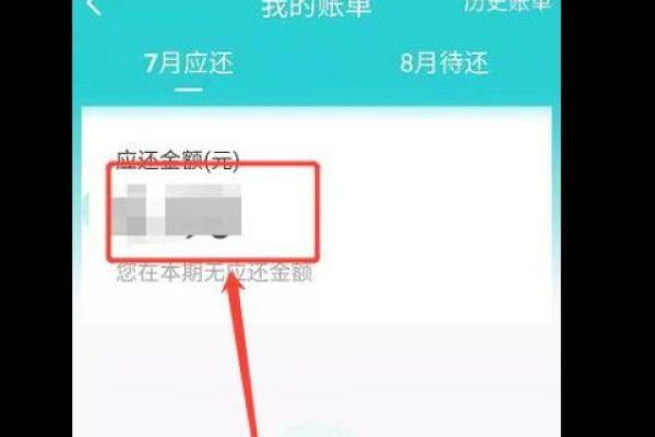 dou分期可以提前还吗