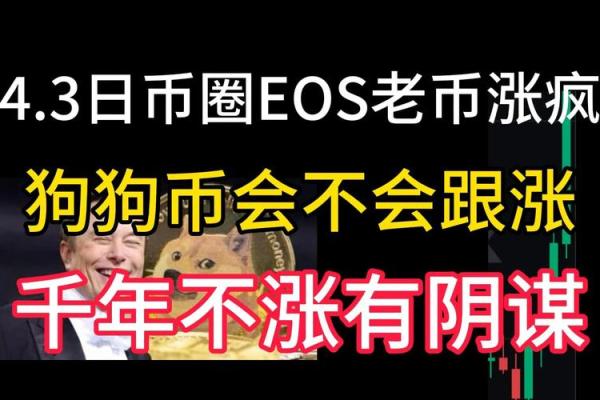 EOS币是哪个国家的