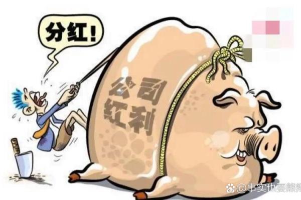 分红除权是什么意思