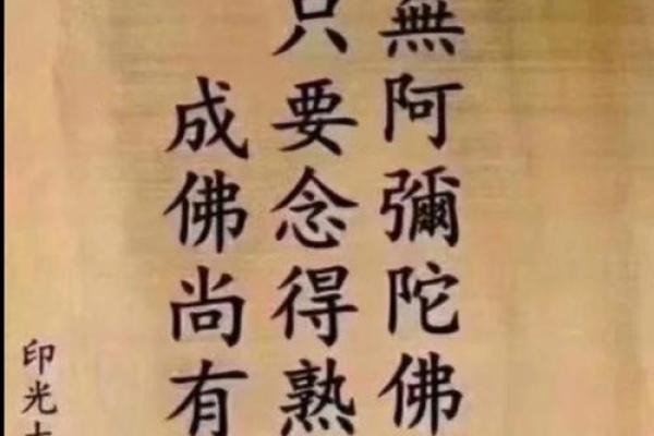 归母净利啥意思