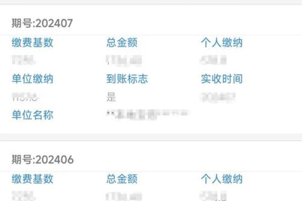 个人交社保怎么查询