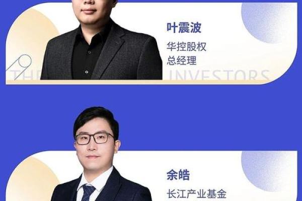 lp投资是什么意思
