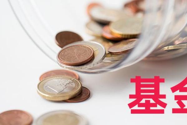 慈善基金会的运作模式