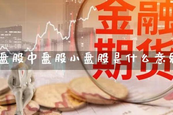 大盘股什么意思