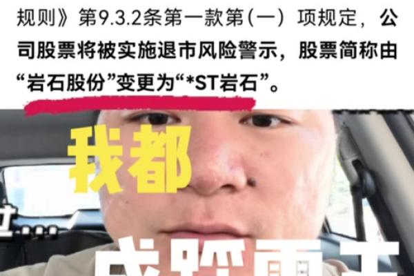 st岩石是什么公司