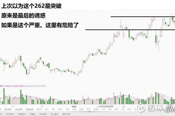 股票u代表什么