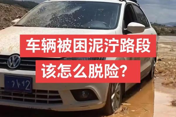车脱险了会怎么处理