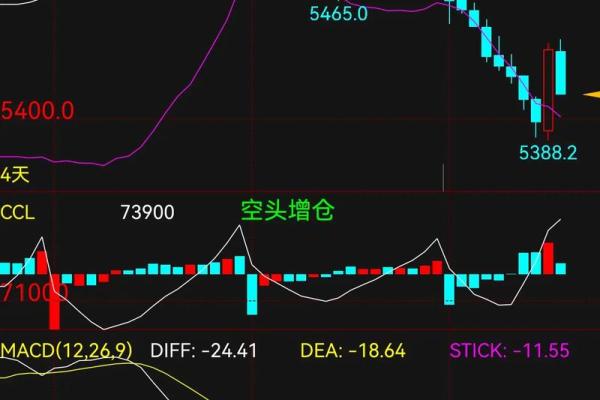 补缺口是什么意思