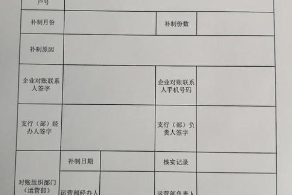 账单补制什么意思
