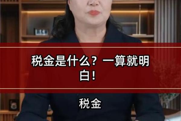 税金是什么意思
