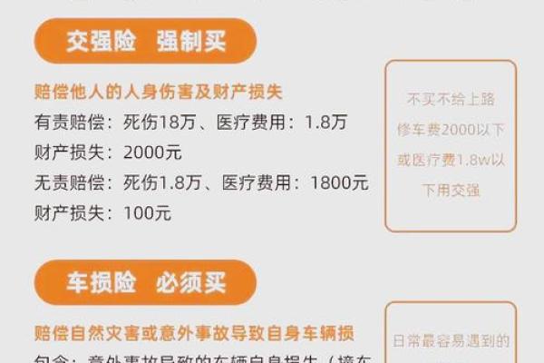 车险最基本的险种