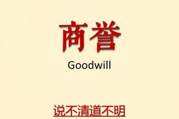 高商誉是什么意思
