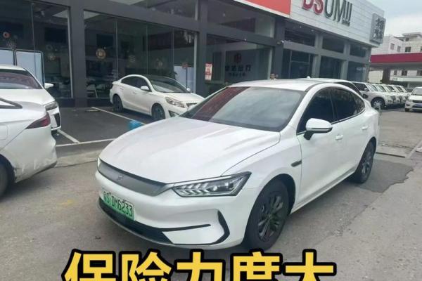 保险还有一个月到期能审车吗