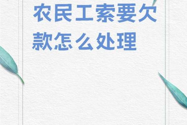 农民工小额贷款