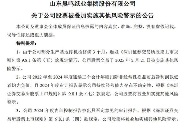 晨鸣纸业是国企吗