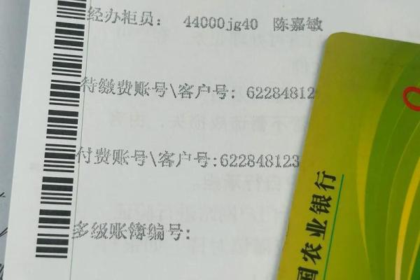 621466开头的是什么银行卡