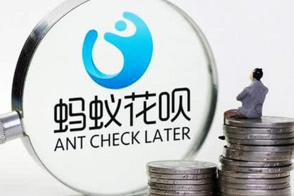 花呗收款服务费怎么回事