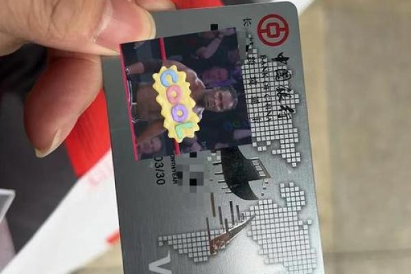 纯visa卡在国内怎么办