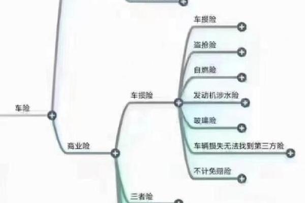 车损险是什么意思