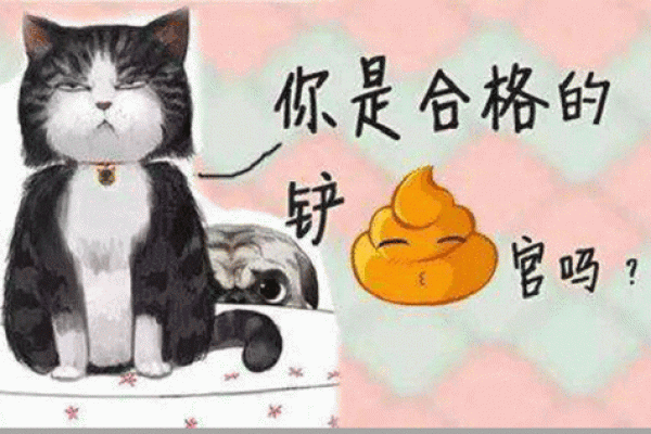 变价收入是什么意思
