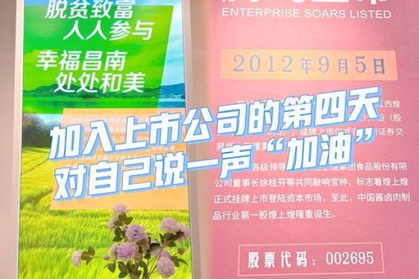 公司怎么才能上市