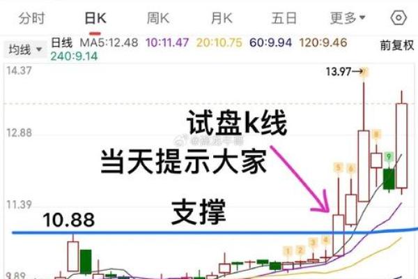 个股是什么