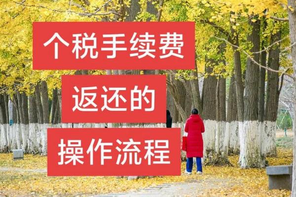 个税手续费返还操作