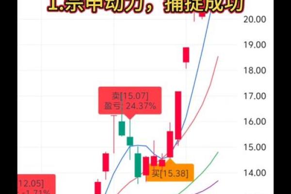 ×d股是什么意思