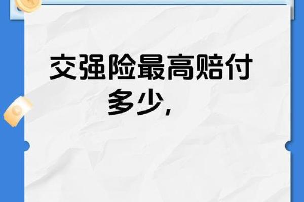 保费支付金额是什么意思