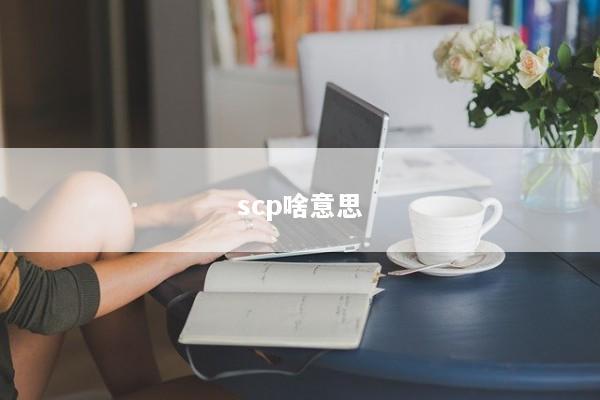 scp啥意思