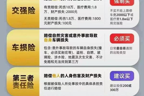 车险属于财产险吗