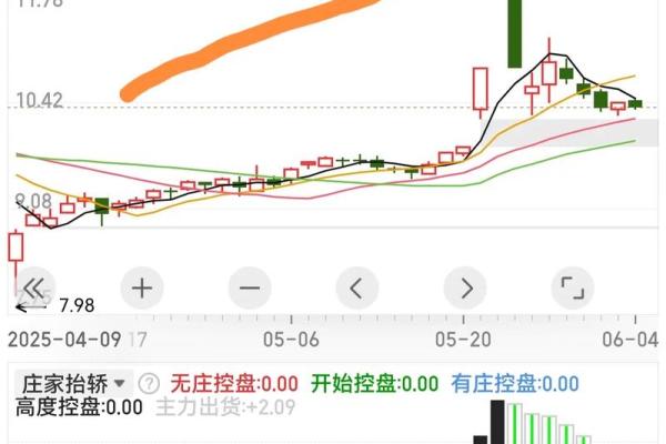 宝光股份是做什么的