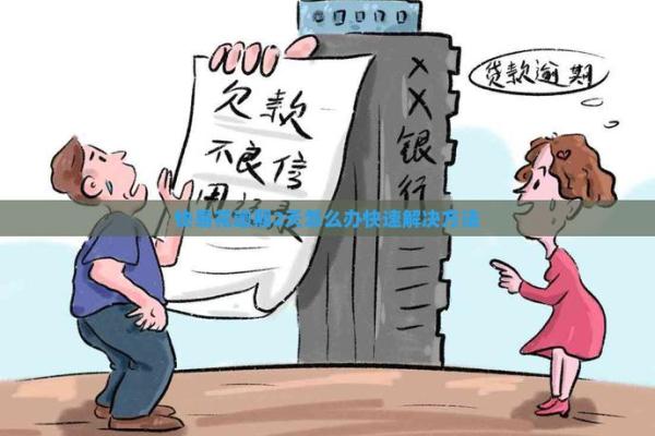 快易花逾期100天怎么办