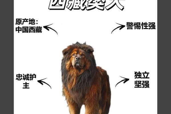 股票藏獒是什么意思