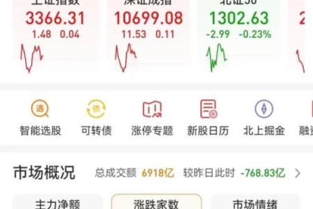 833是什么股票