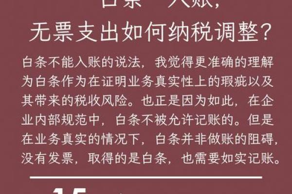 白条体验版是什么意思