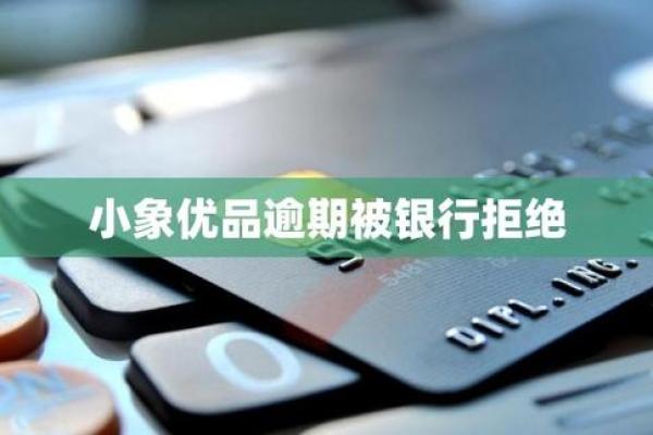 小象优品超额消费是什么意思