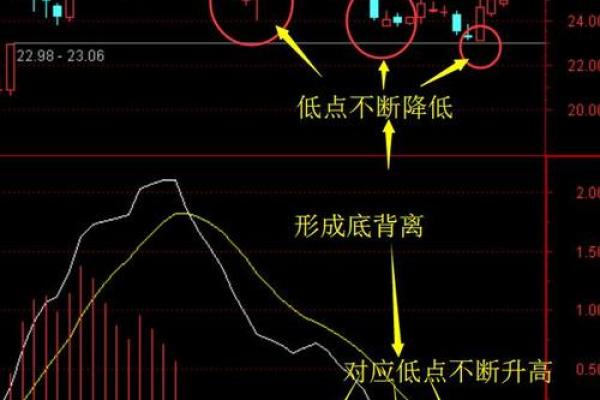macd背离看线还是看柱