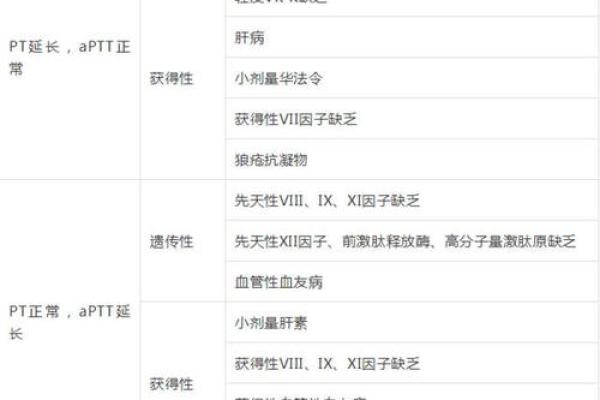 pt币是什么意思