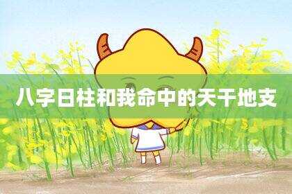 八字日柱和我命中的天干地支